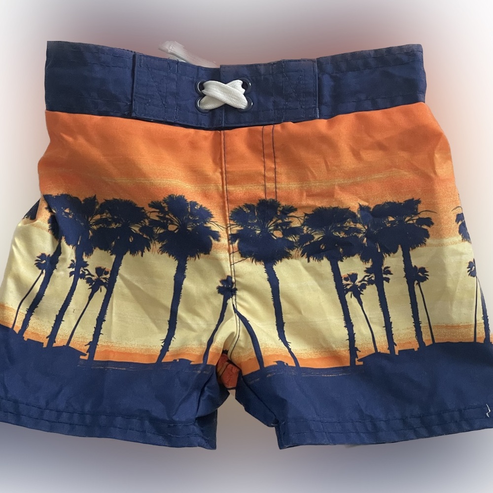 Cat and Jack 18 Month Swim Trunks
